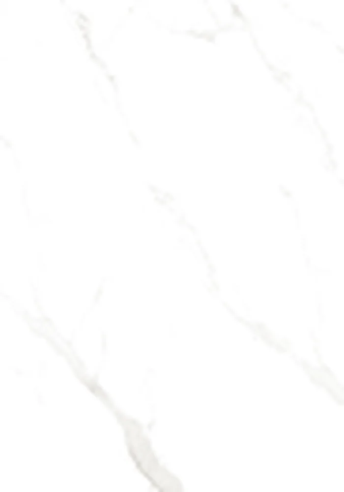 Vellera Element Snow Marble wall panel finish