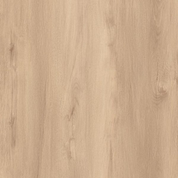 LN - K 008